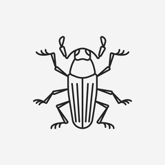 insect line icon