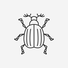 insect line icon