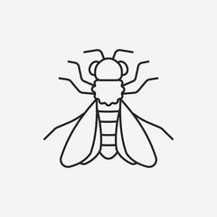 insect line icon