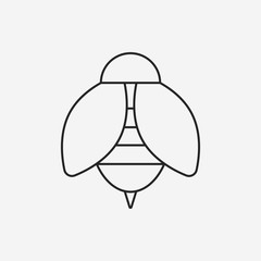 insect line icon