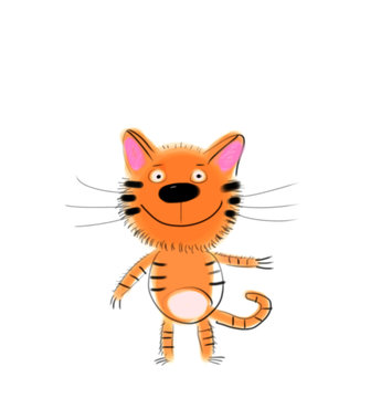Orange Kitten on White Background
