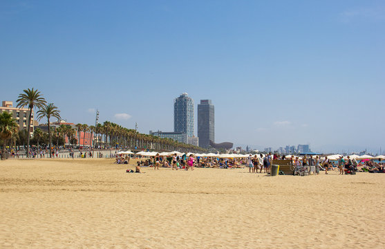 Sandy, palm-fringed beach Barceloneta, Barcelona, Spain