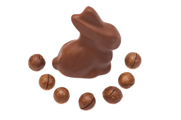 chocolate bunny with nuts