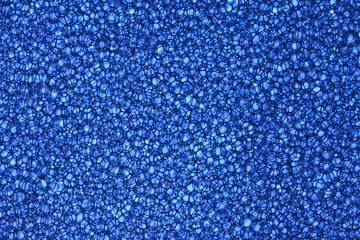 Obraz premium Background Of Sponge in Blue color shot in studio