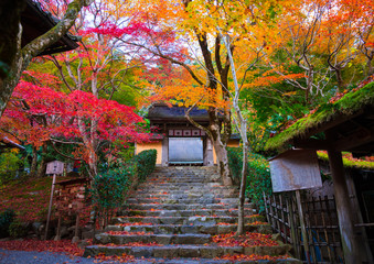 京都　大原　寂光院　紅葉