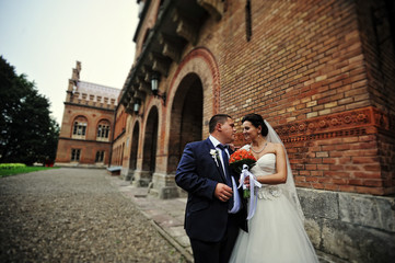 Newlyweds background  old brick architecture house and tower