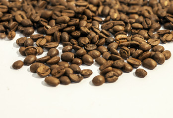 Coffee beans on white background