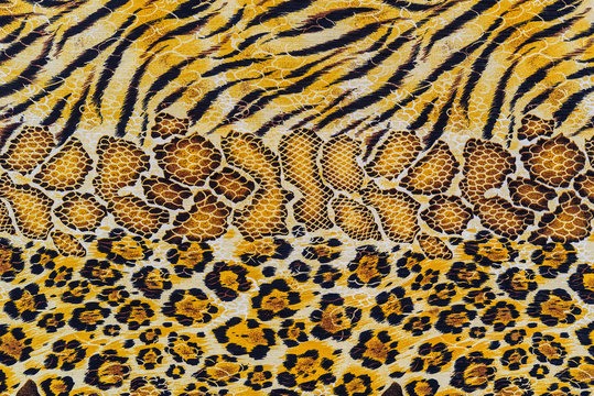 texture of print fabric stripes tiger and snake leather