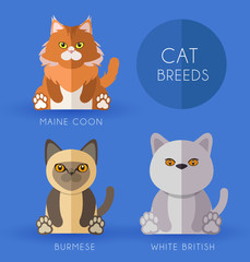 Cat Breeds : Vector Illustration