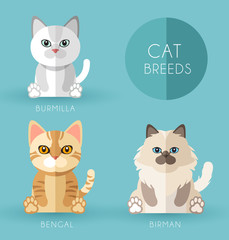 Cat Breeds : Vector Illustration