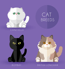 Cat Breeds : Vector Illustration