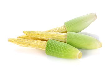 Baby corn on white background