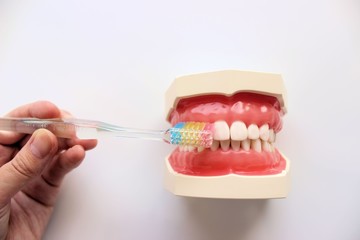 Fototapeta na wymiar tooth brush