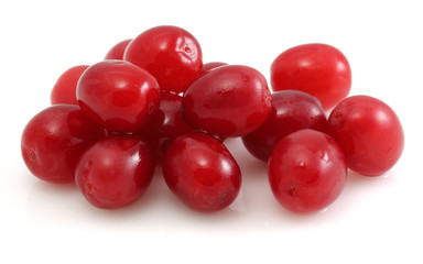 sweet dogberry