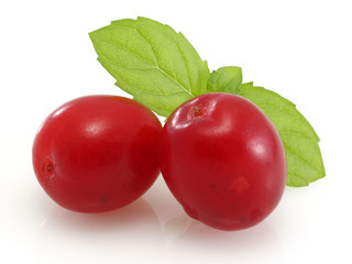 sweet dogberry