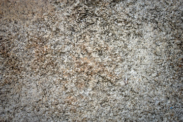 graye stone texture  background