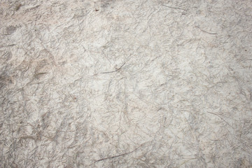 beach sand texture with pine leave