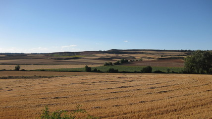 Obraz premium Paisaje castellano.