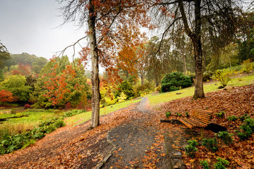 Bench in the autumn park