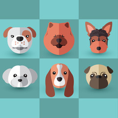 Dog Breeds : Vector Illustration
