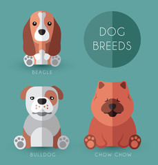 Dog Breeds : Vector Illustration