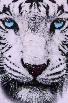 texture of print fabric striped the white tiger face