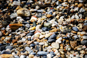 Stones on a sea beach pebbles. background