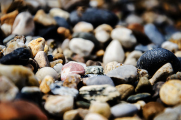 Stones on a sea beach pebbles. background