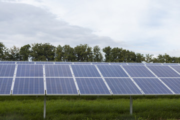 Field with blue siliciom solar cells alternative energy
