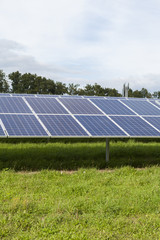 Field with blue siliciom solar cells alternative energy