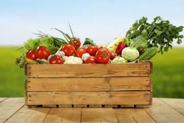Photo sur Plexiglas Légumes les légume
