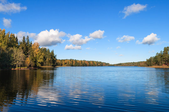 Lake view