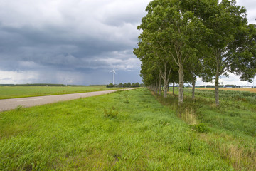Countryroad through a rural landscape in summer