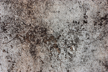 Textured walls with dirt.