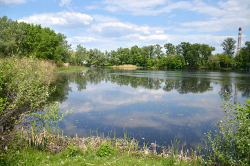 Fototapeta na wymiar Summer landscape with a lake