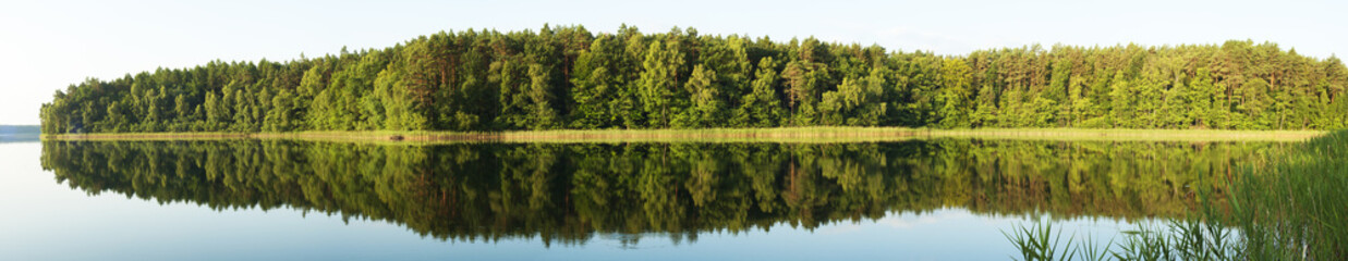 Las i jego odbicie w jeziorze