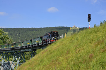 Dampfzug auf dem Viadukt in Oberwiesenthal