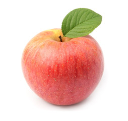 Single fresh apple