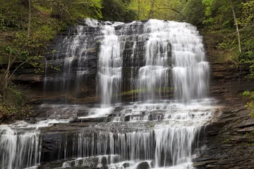  Pearson's Falls near Tryon North Carolina in the Spring © Jill Lang