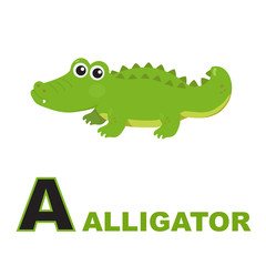 alligator