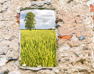 Fototapete bei efototapeten.de bestellen   