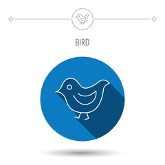 Bird icon. Chick with beak sign.