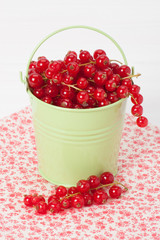 Fresh Redcurrant In A Small Green Bucket