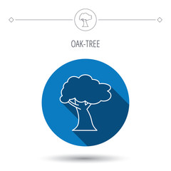 Oak tree icon. Forest wood sign.