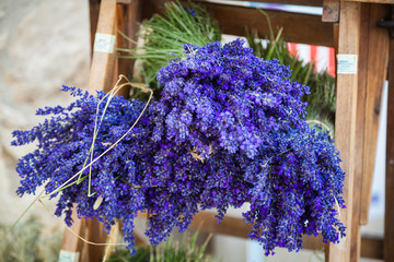 Lavender flowers in a lavender Store in Sault
