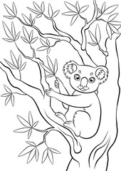 Little cute koala sitting in the tree
