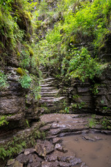 Tourist route to the Urals. Dry waterfall in trees vertical shot
