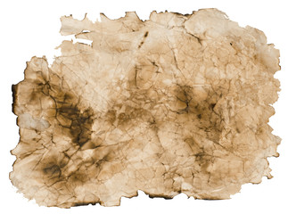 Scroll old paper sheet, Vintage aged old paper. Original background or texture separated on white