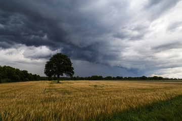 Fototapeta na wymiar Winsen (Aller), Germany - July 29, 2015: Photograph of an approaching summer storm.