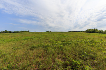 Half cloudy sky over field